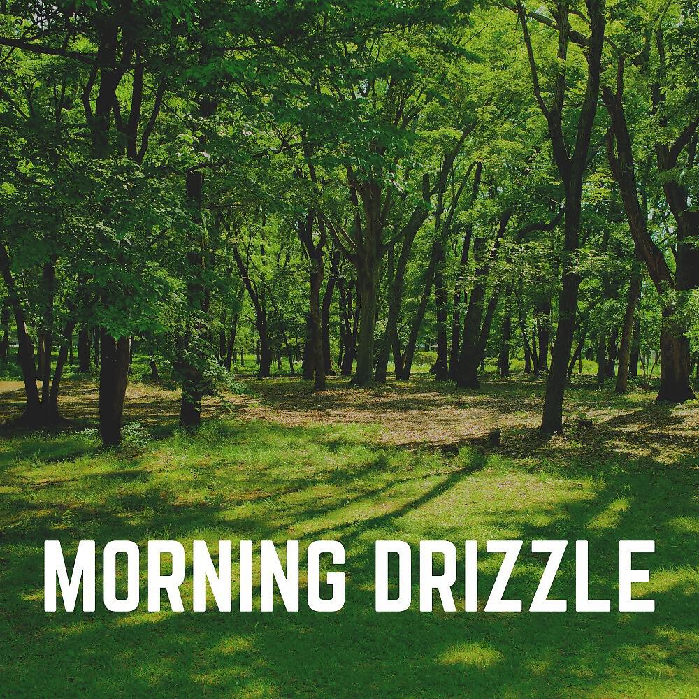 Релиз Morning Drizzle