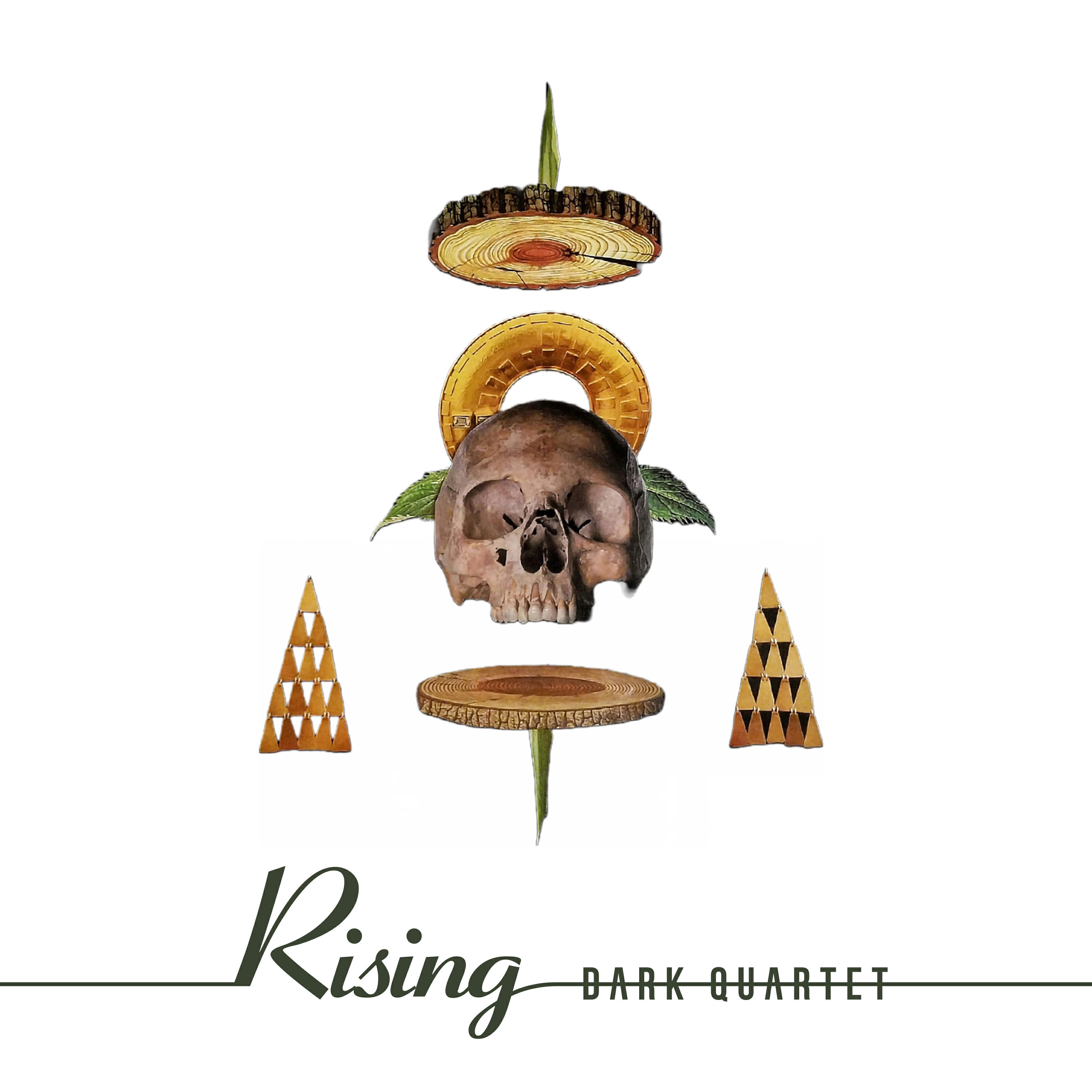 Релиз RISING