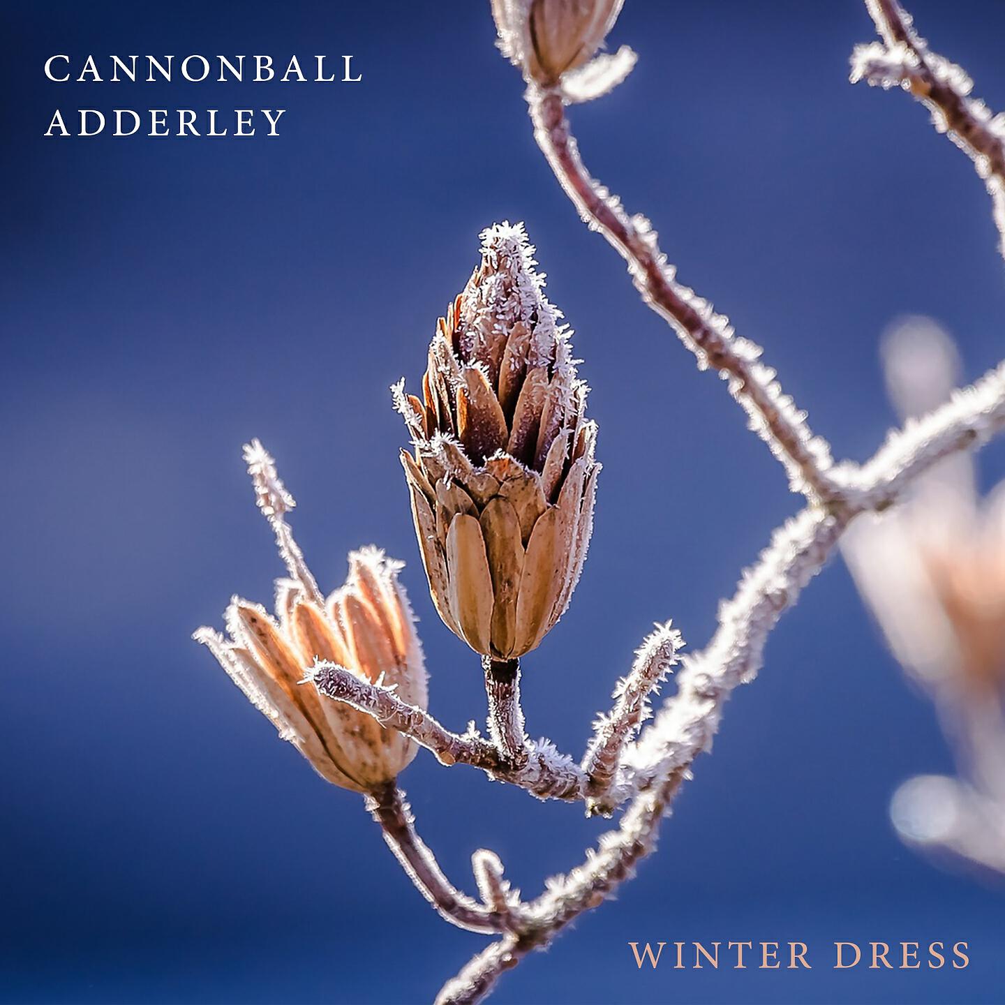 Релиз Winter Dress