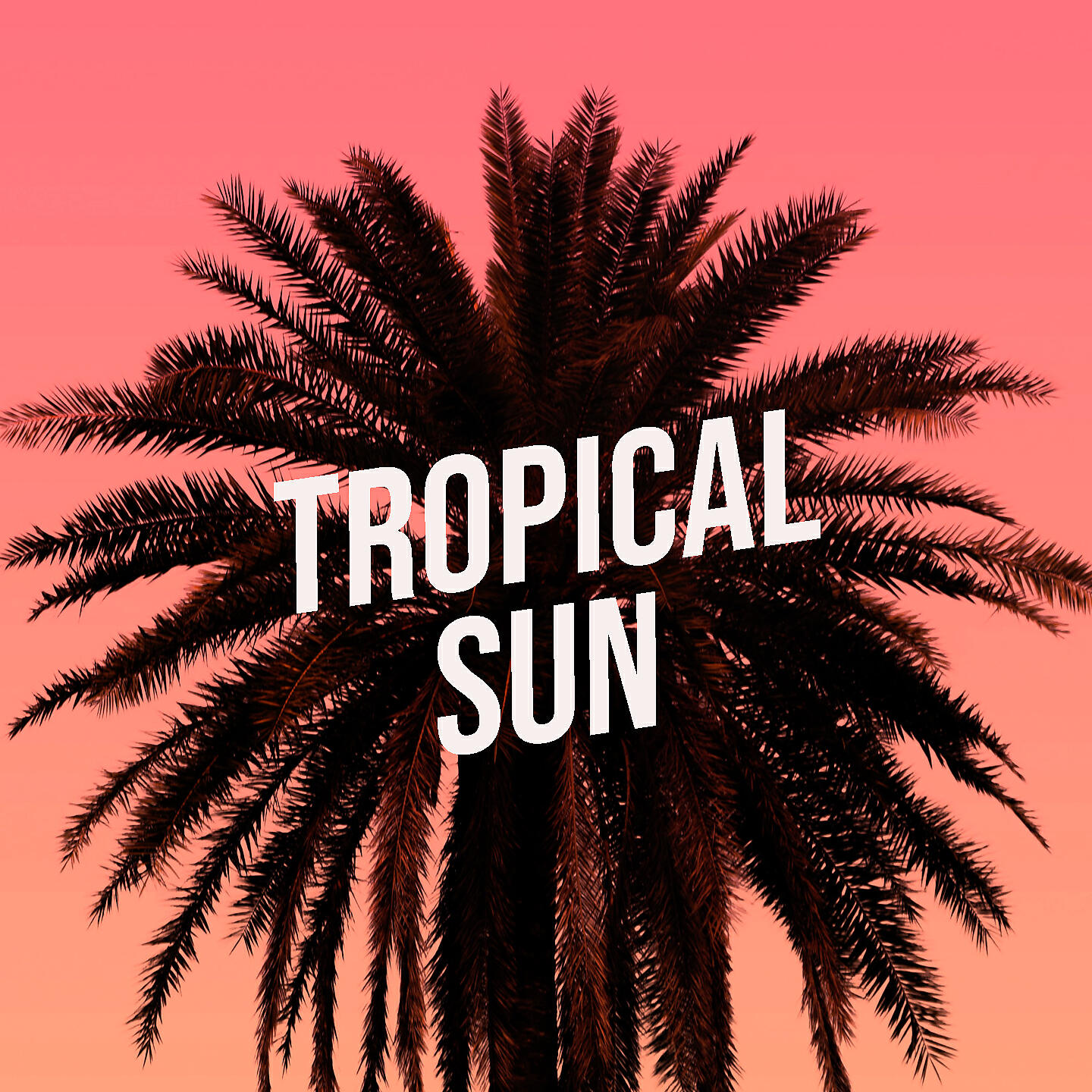 Постер альбома Tropical Sun