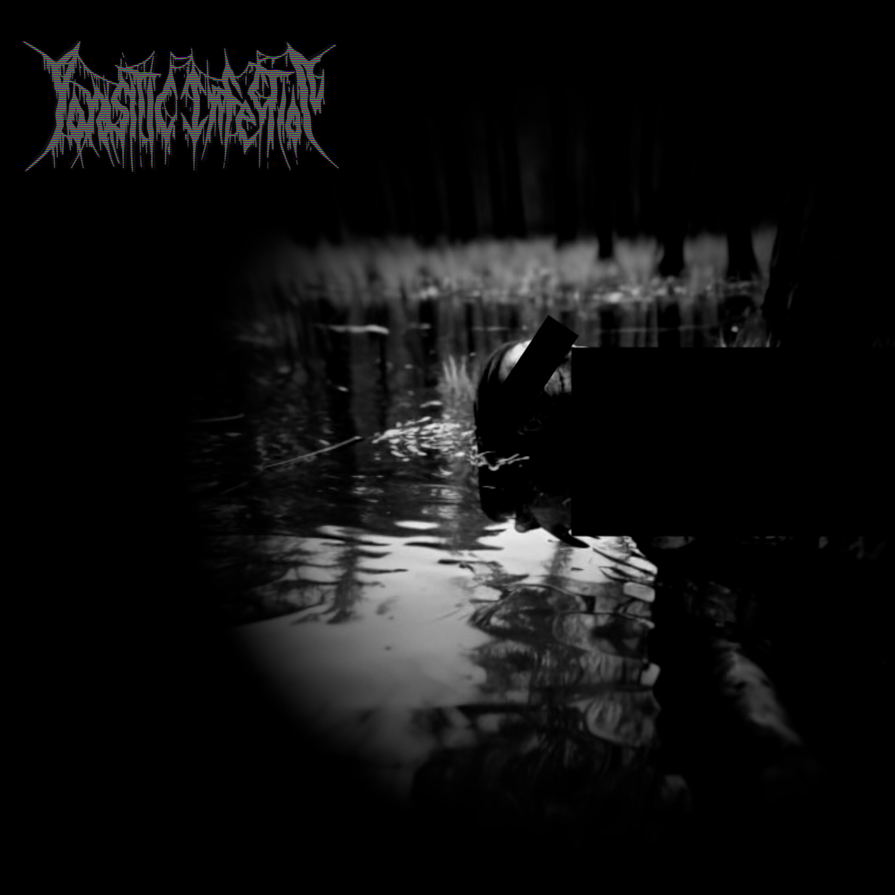 Релиз Swamp Grave