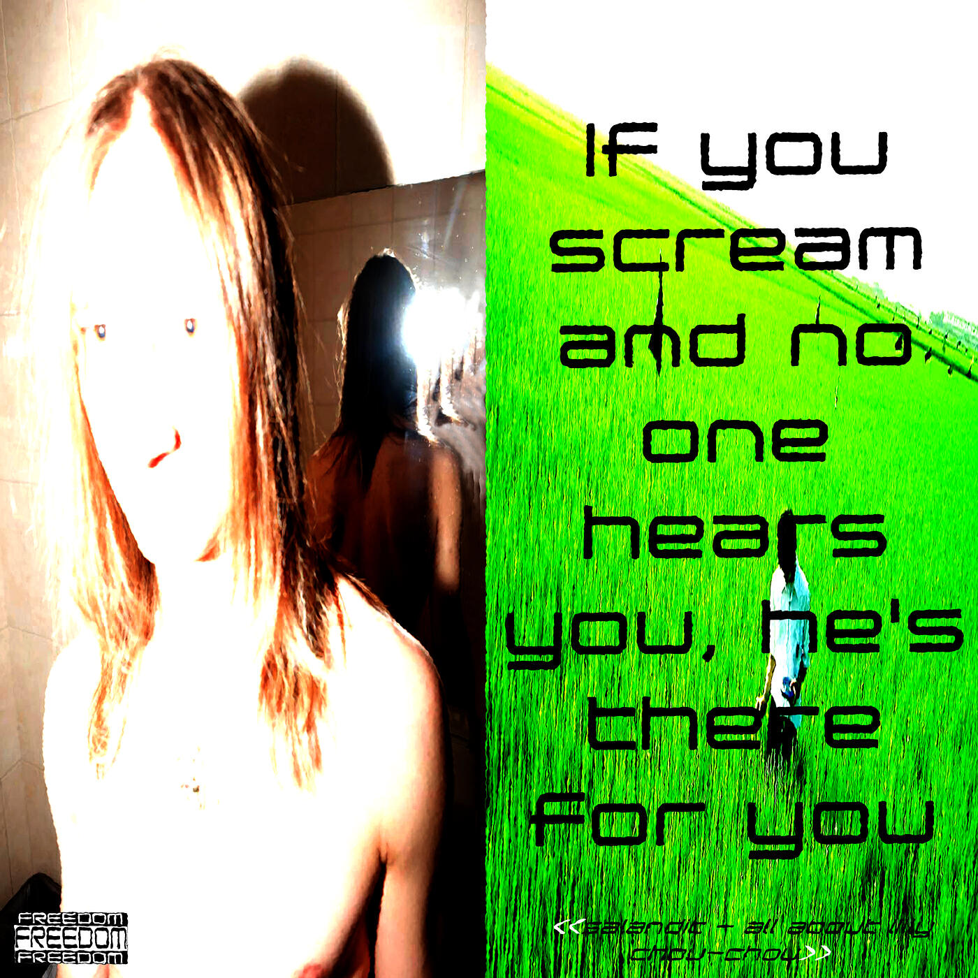 Релиз всё о лили чоу-чоу