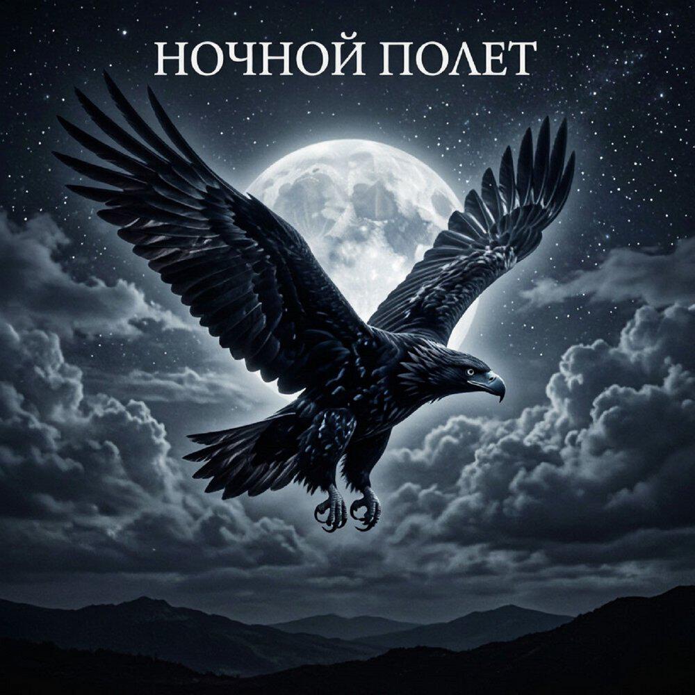 Релиз Ночной полет