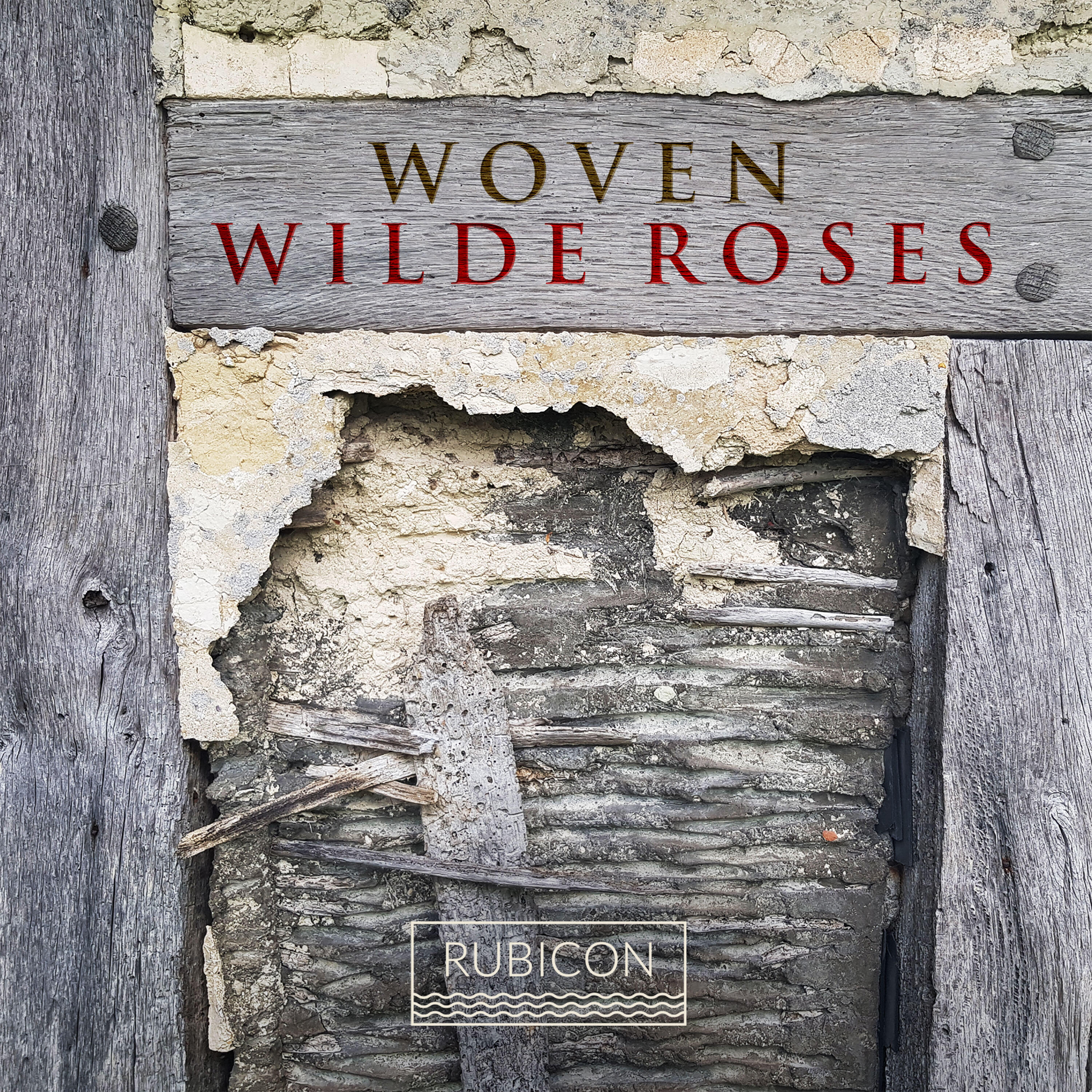 Wilde Roses