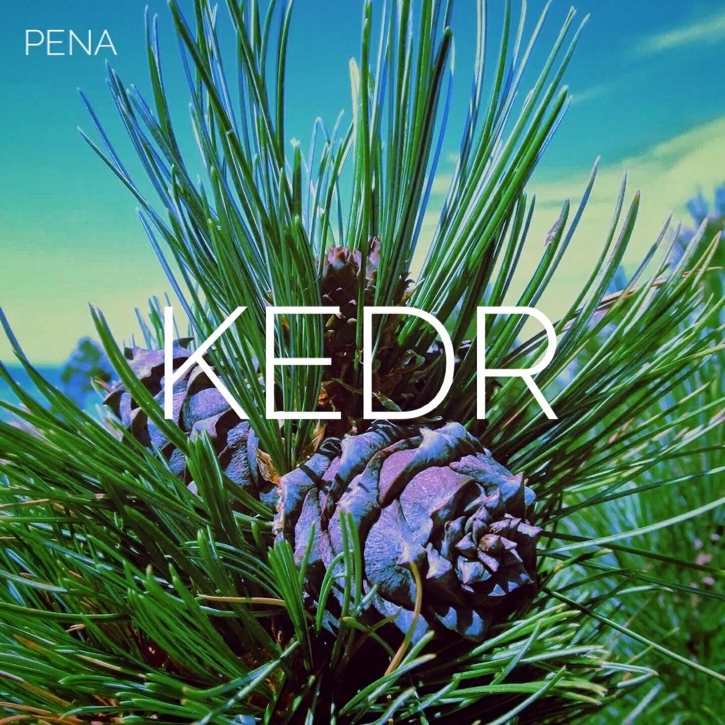 Релиз KEDR