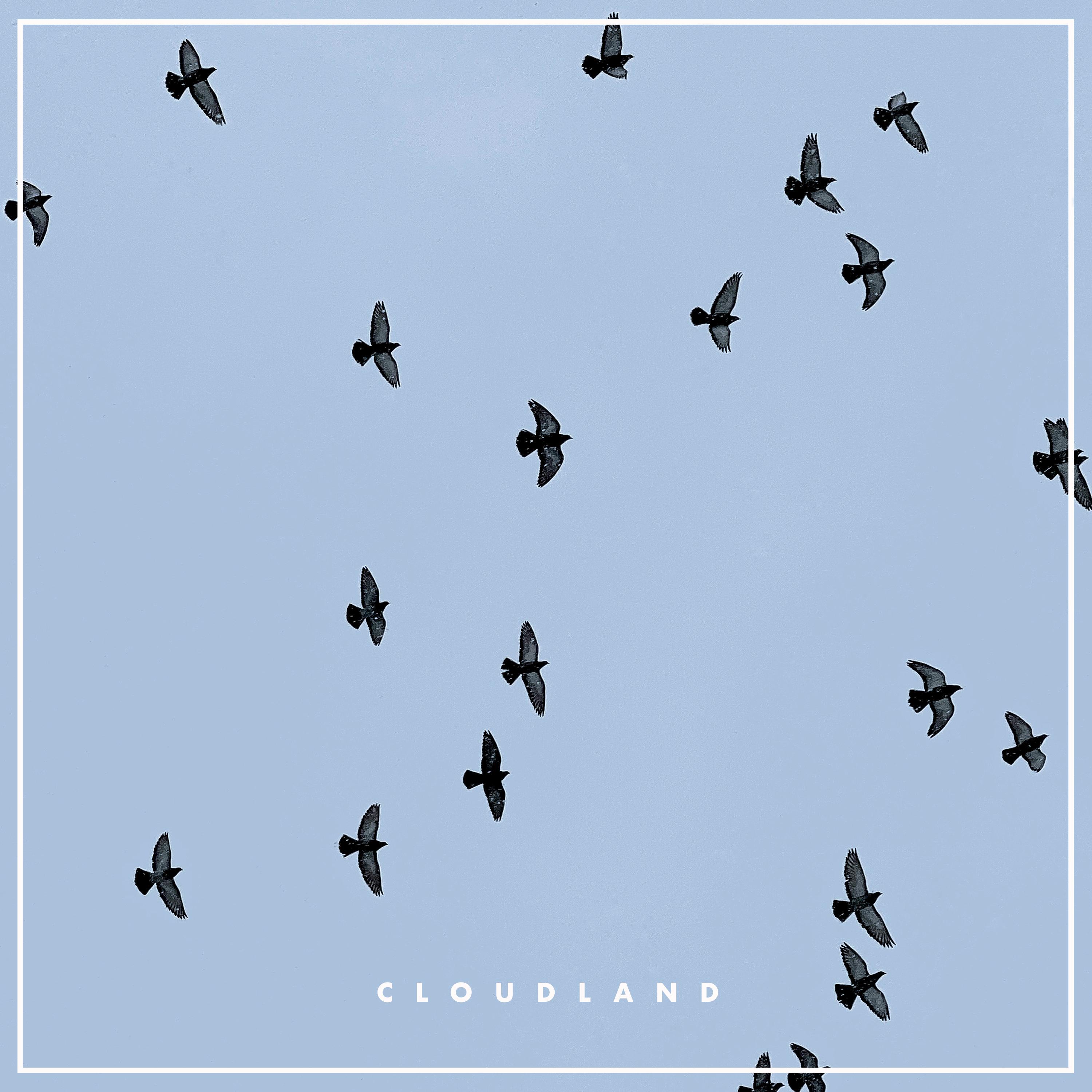 Постер альбома Cloudland