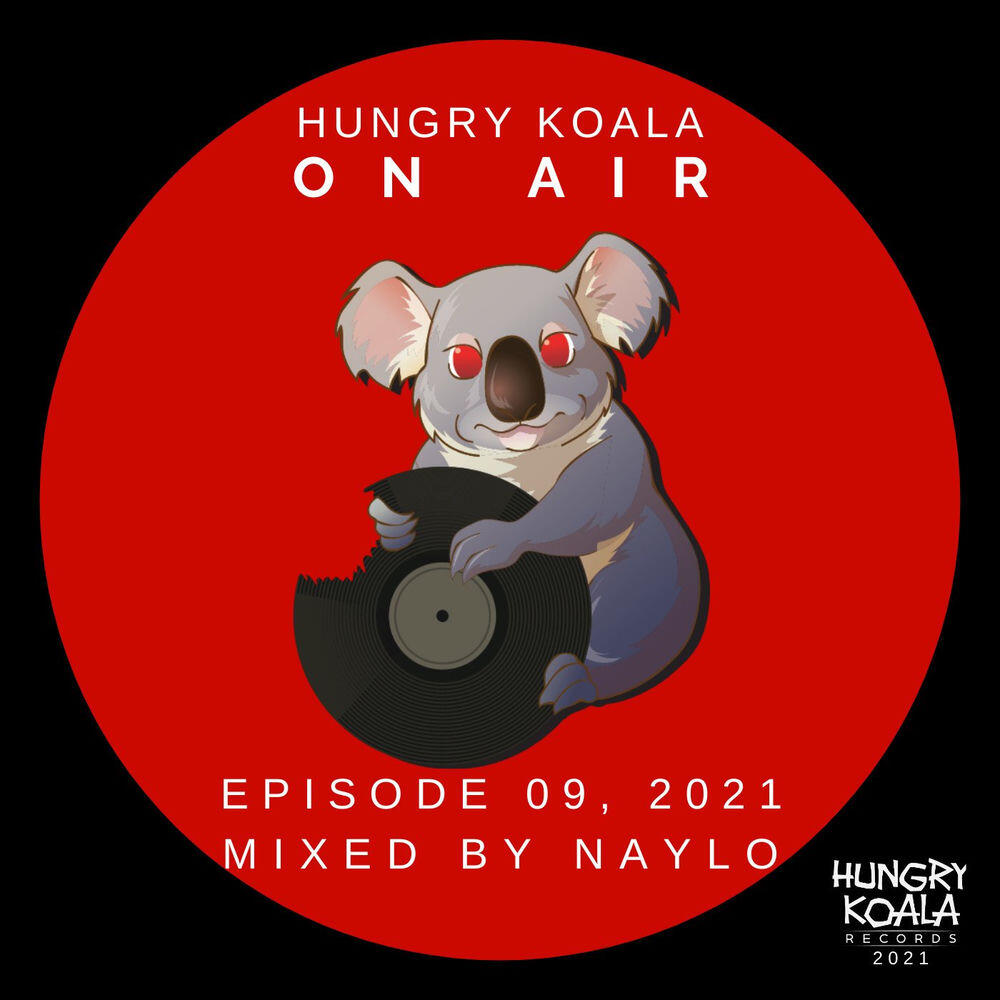 Hungry Koala