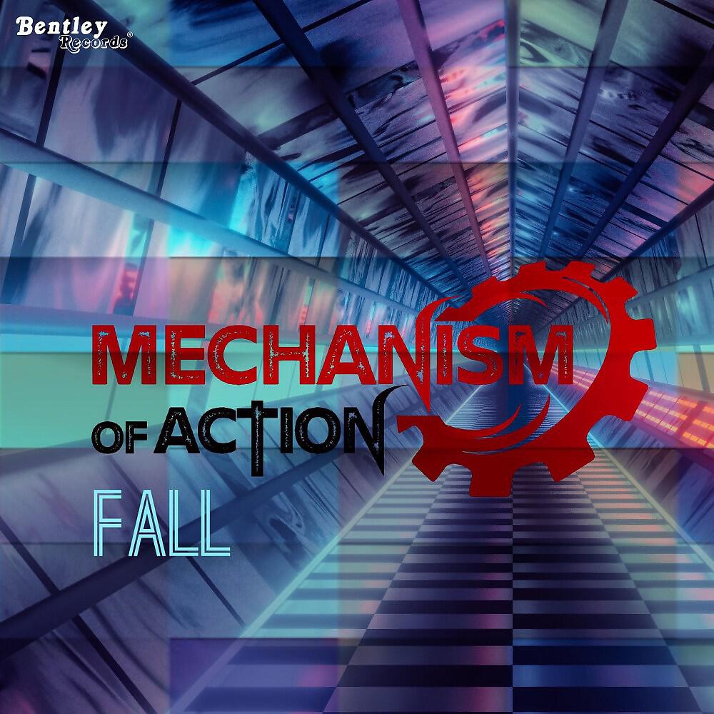 Релиз Fall