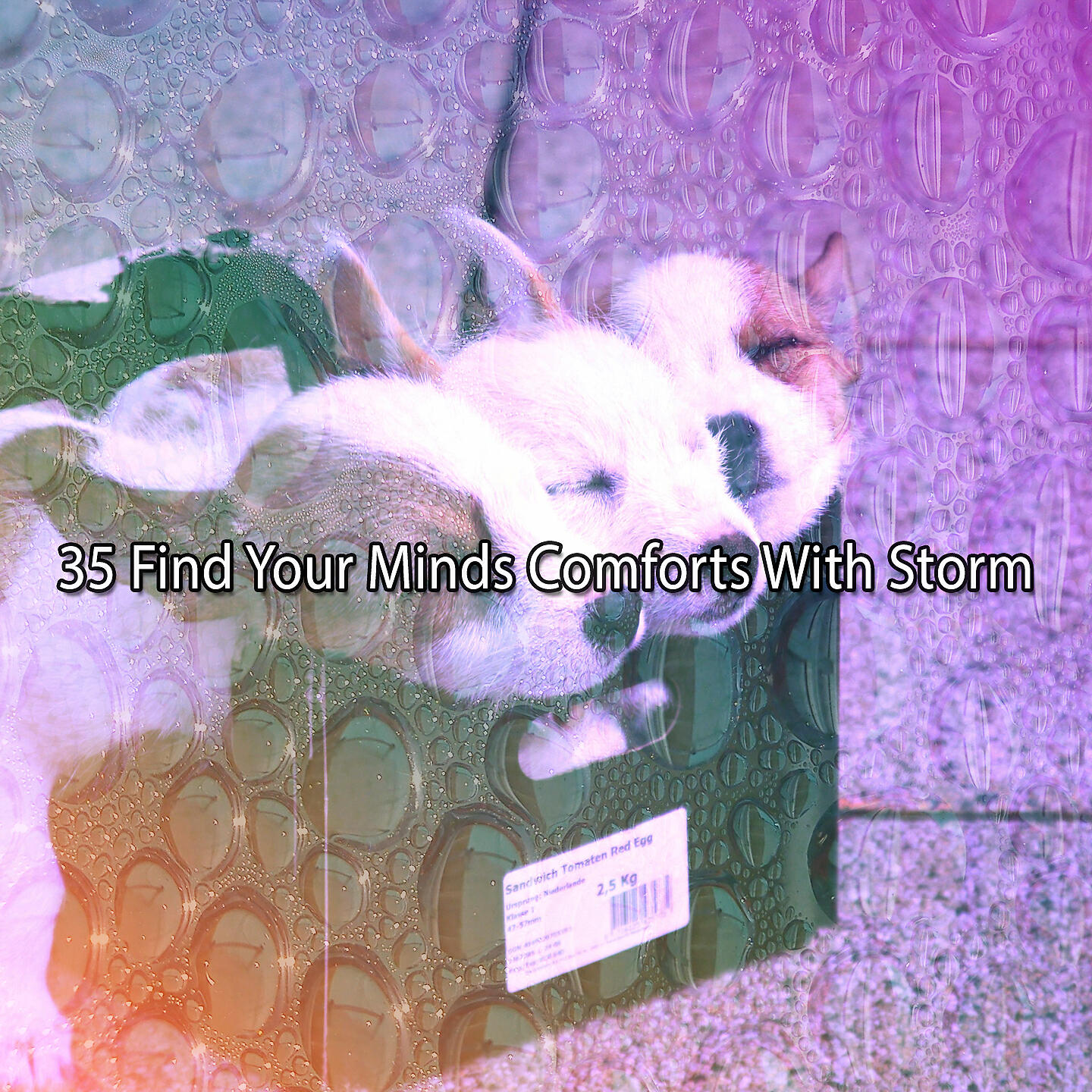 Постер альбома !!!! 35 Find Your Minds Comforts With Storm !!!!