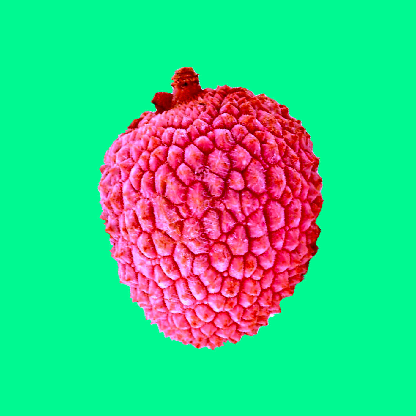 Релиз Litchi