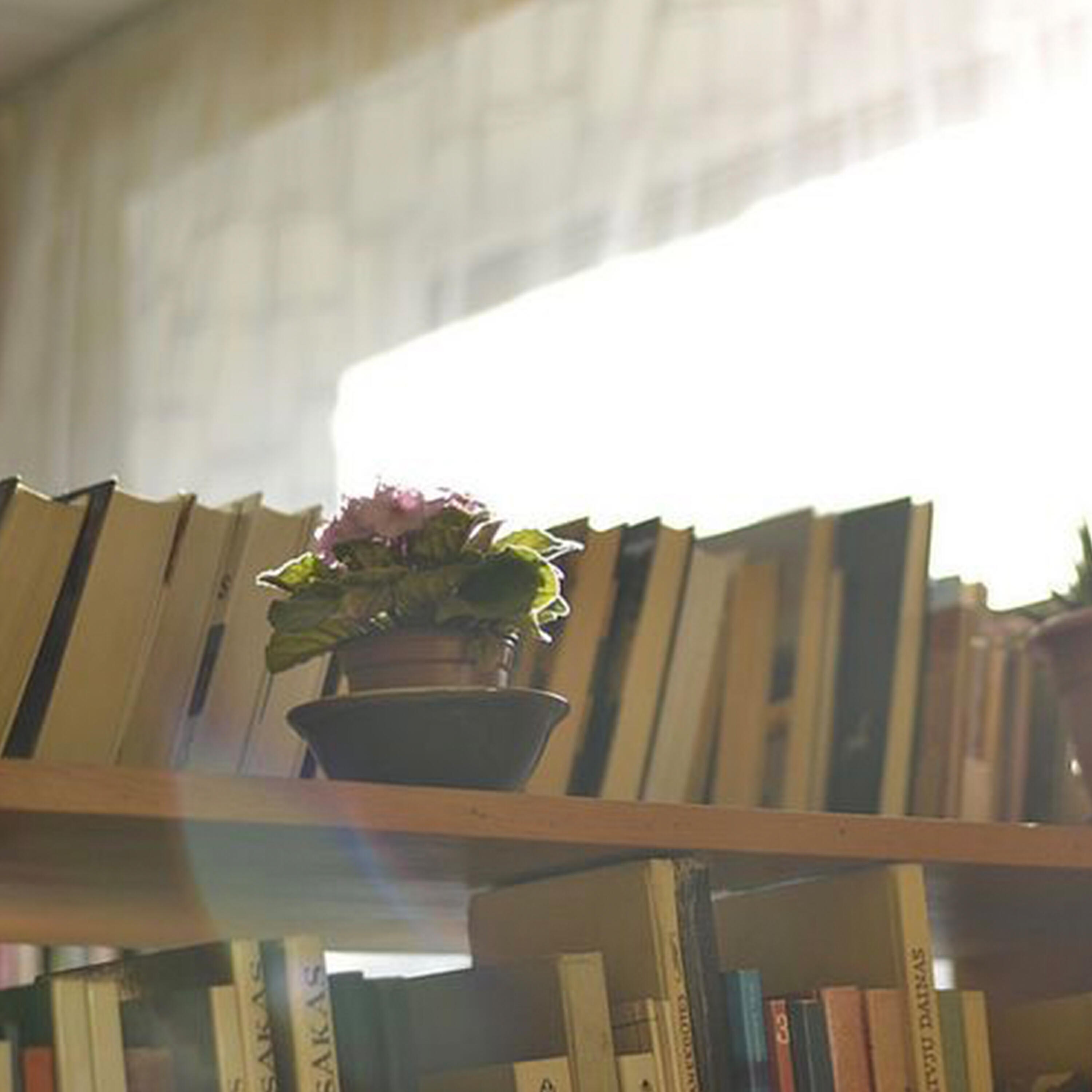 N!NX - นานแล้ว