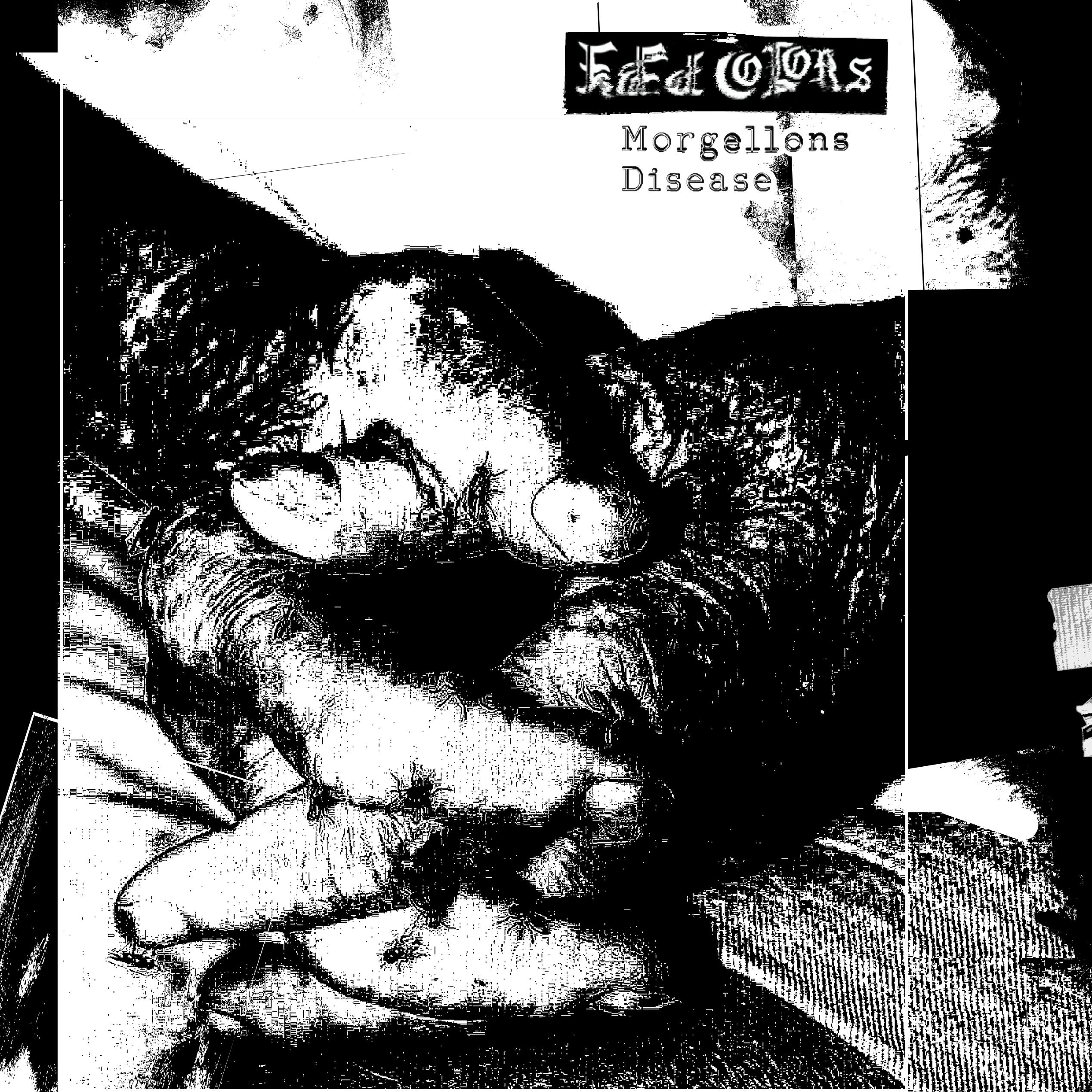Релиз Morgellons Disease