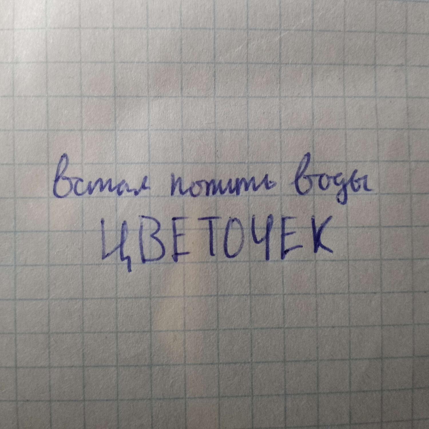 Релиз Цветочек
