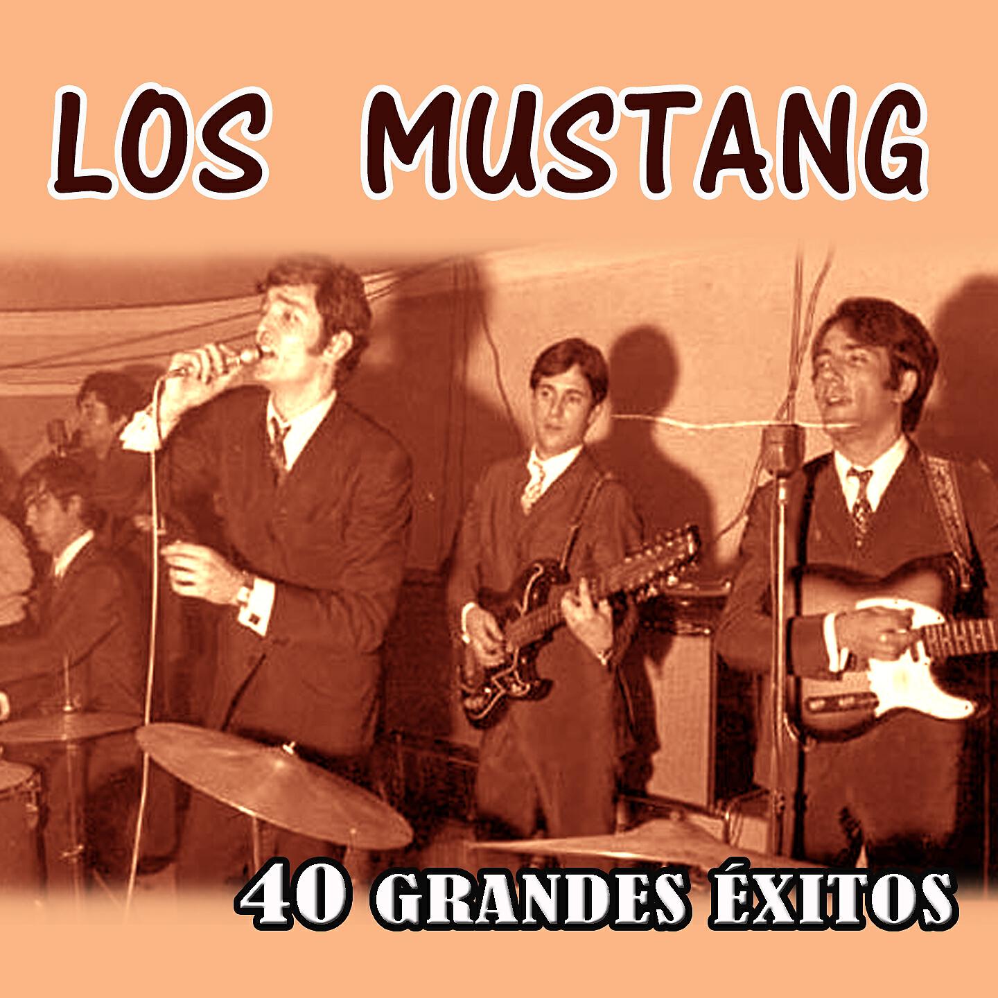 Релиз 40 Grandes Éxitos