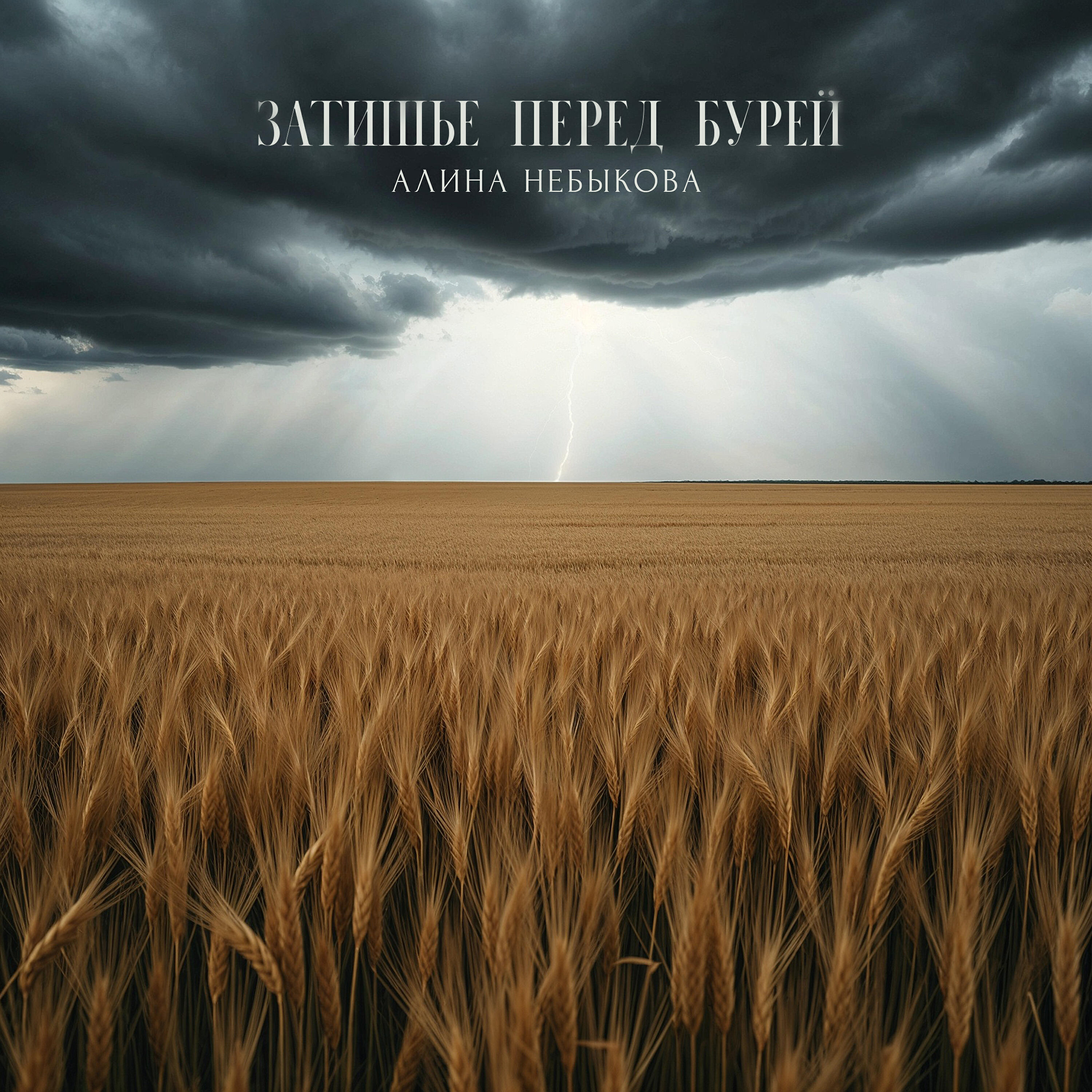 Релиз Затишье перед бурей