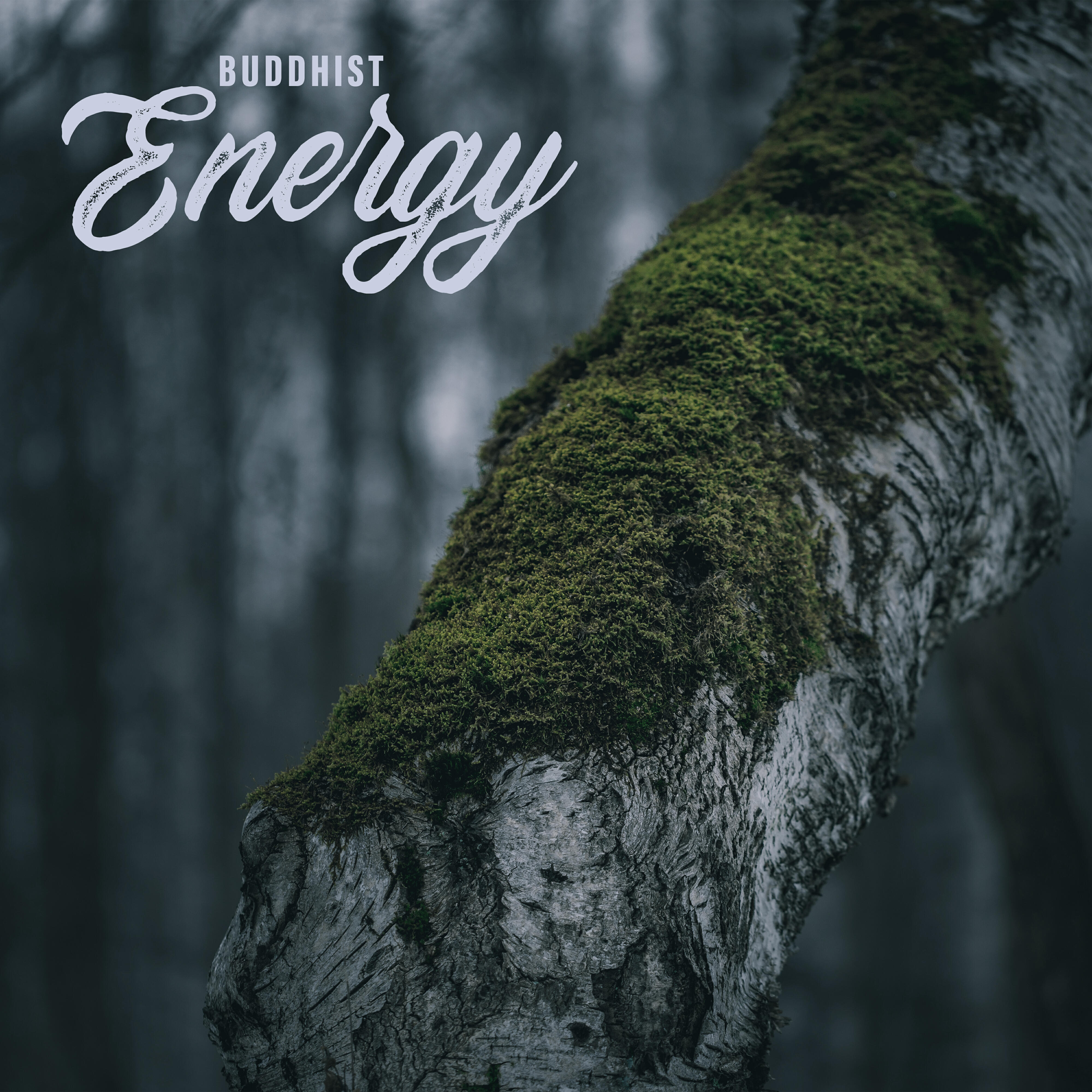 Релиз Buddhist Energy – Powerful Meditation, Healing Music Meditation, Relax, Yoga Classes, Harmony