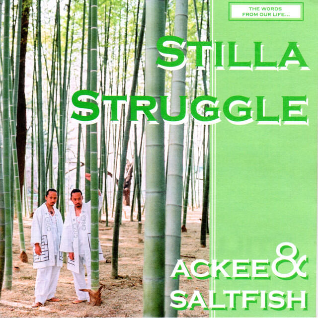 Релиз Stilla Struggle