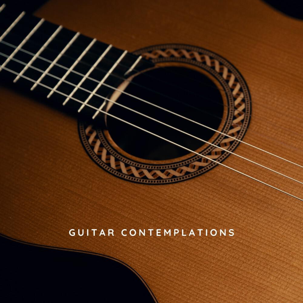 Релиз Guitar Contemplations