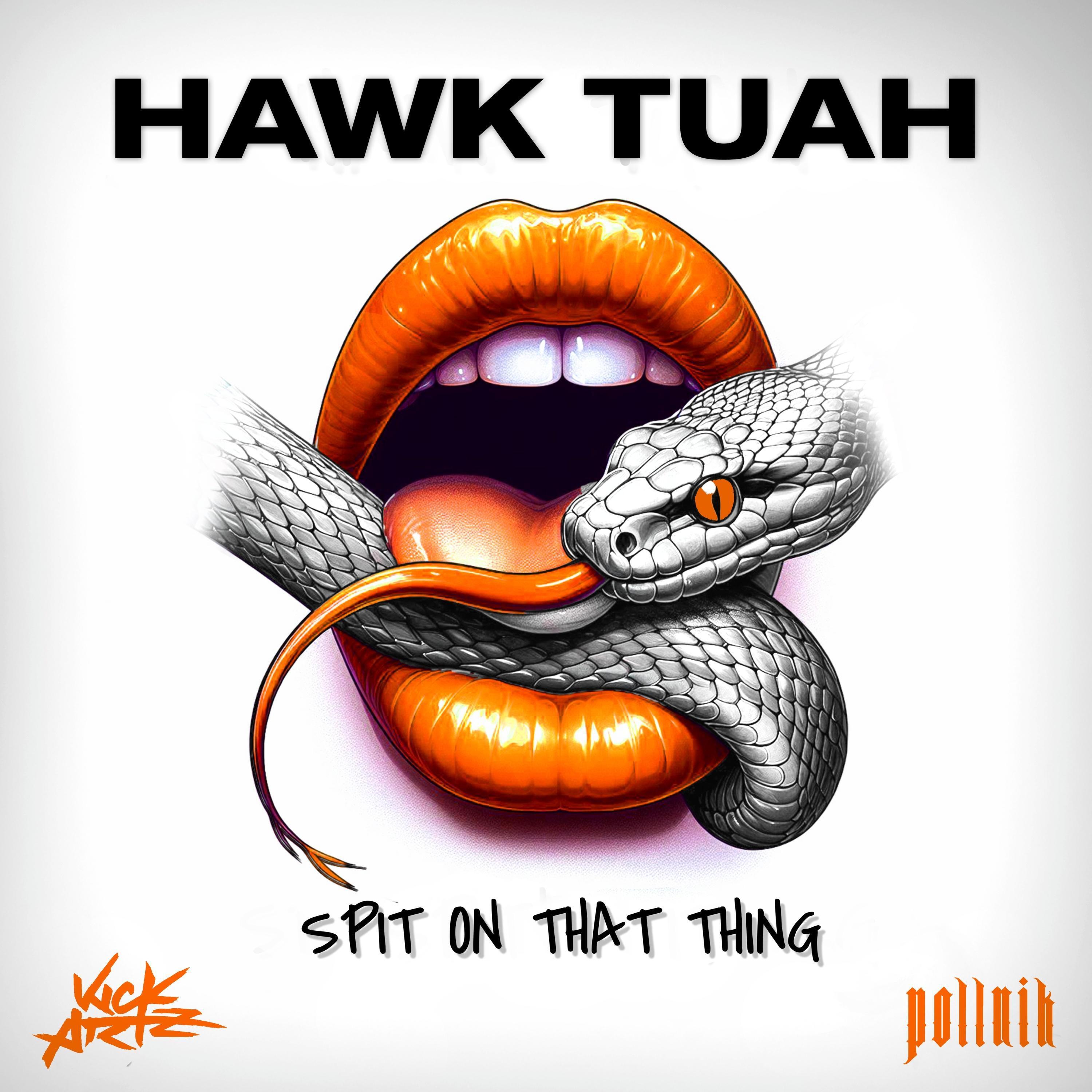 Релиз HAWK TUAH