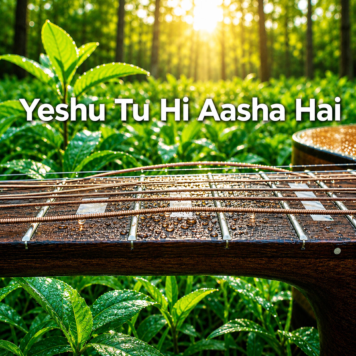 Ezhil A.