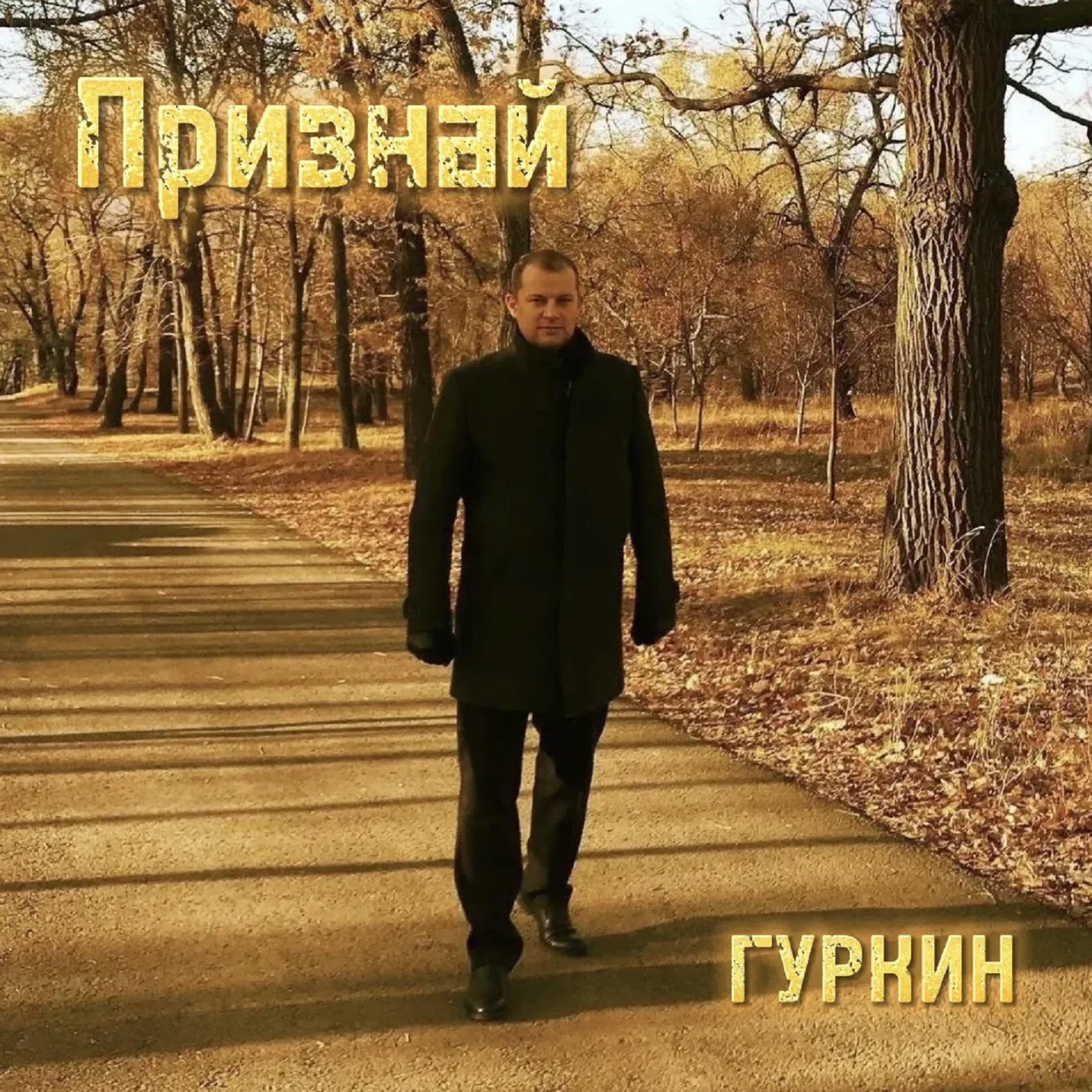 Релиз Признай
