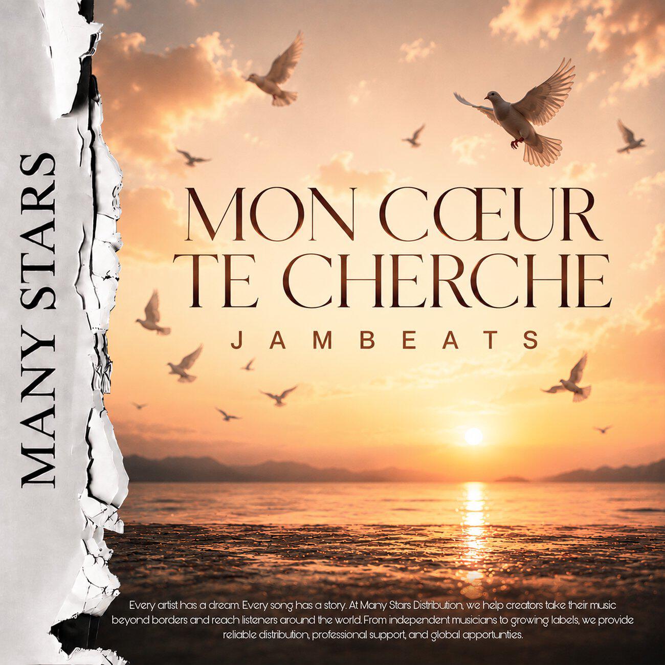 Релиз Mon Cœur Te Cherche