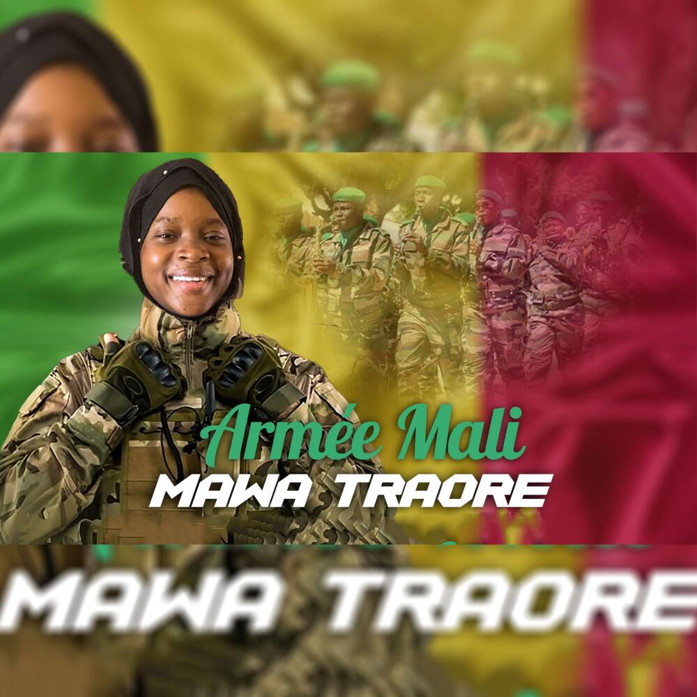 Релиз Armée Mali