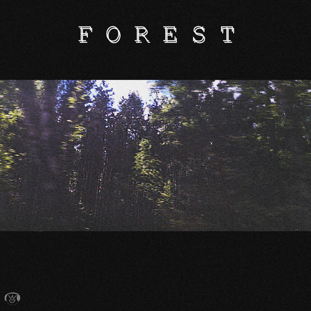 Релиз F O R E S T
