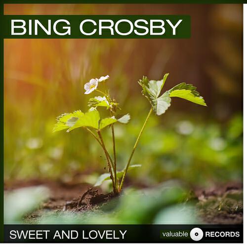 Релиз Sweet and Lovely