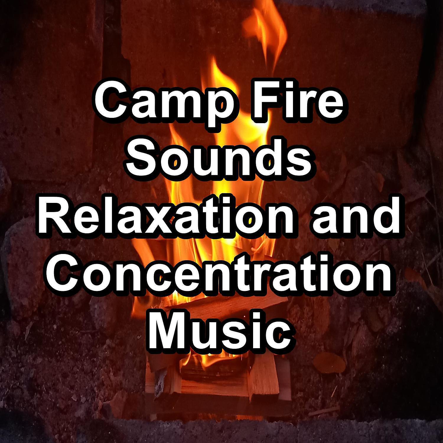 Релиз Camp Fire Sounds Relaxation and Concentration Music