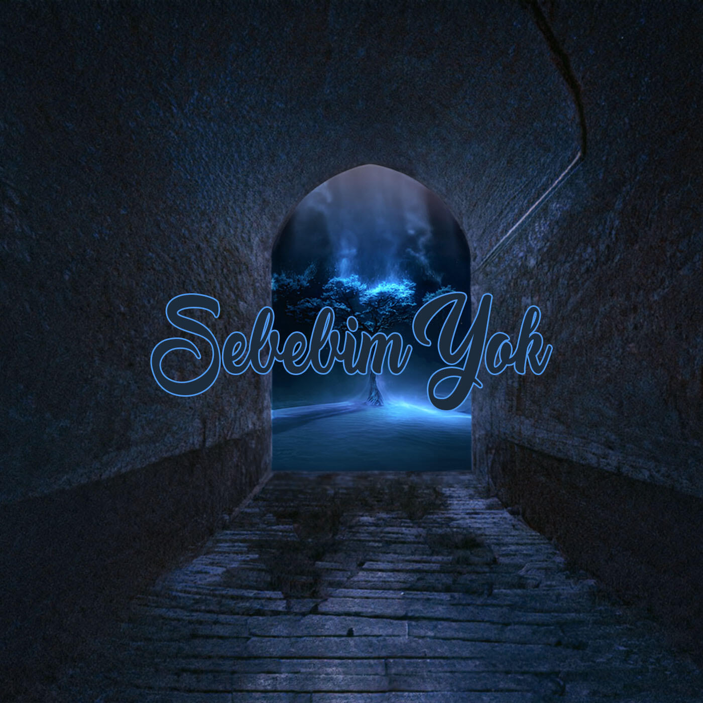 Скачать песню Cap - Sebebim Yok бесплатно в MP3 для Android и iOS