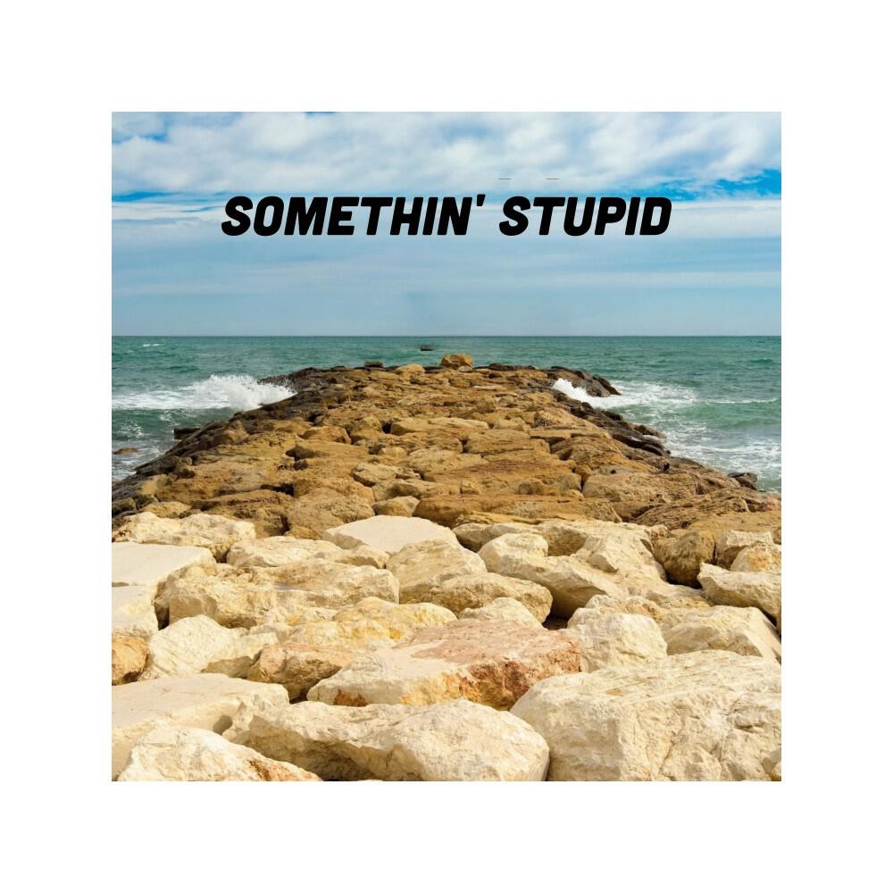 Релиз Somethin' Stupid