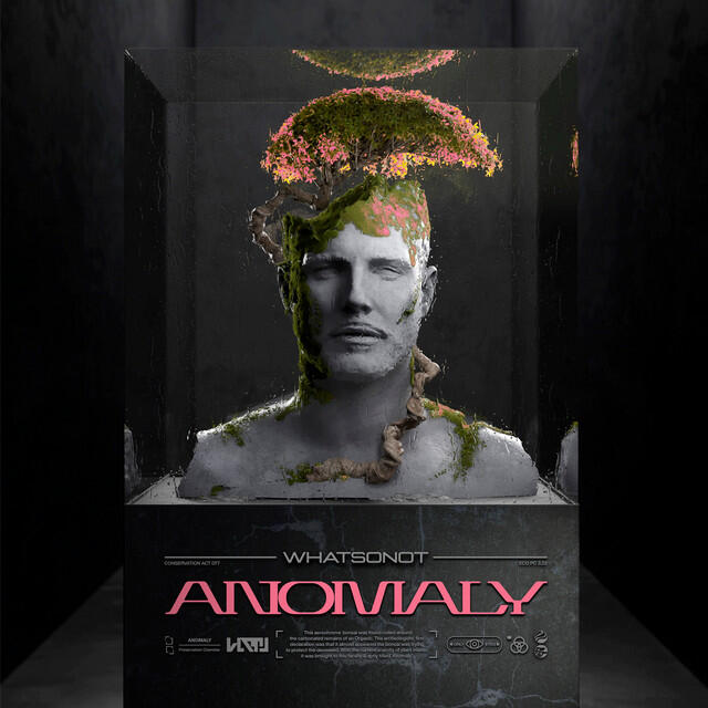 Постер альбома Anomaly