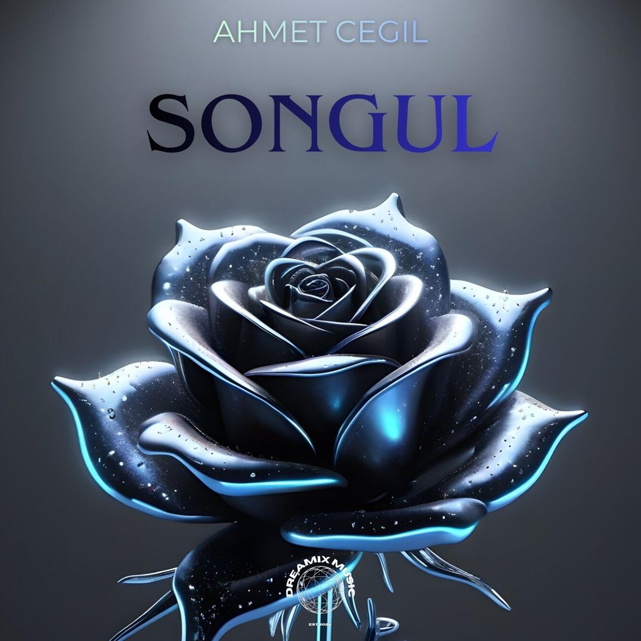 Релиз Songül