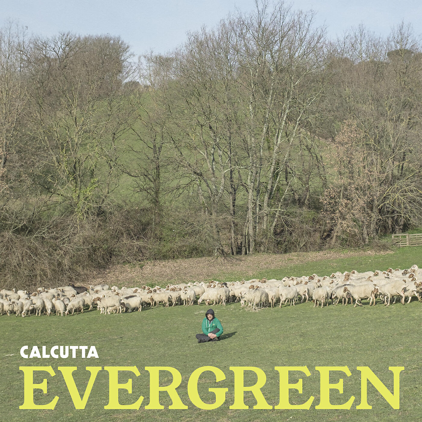 Релиз Evergreen