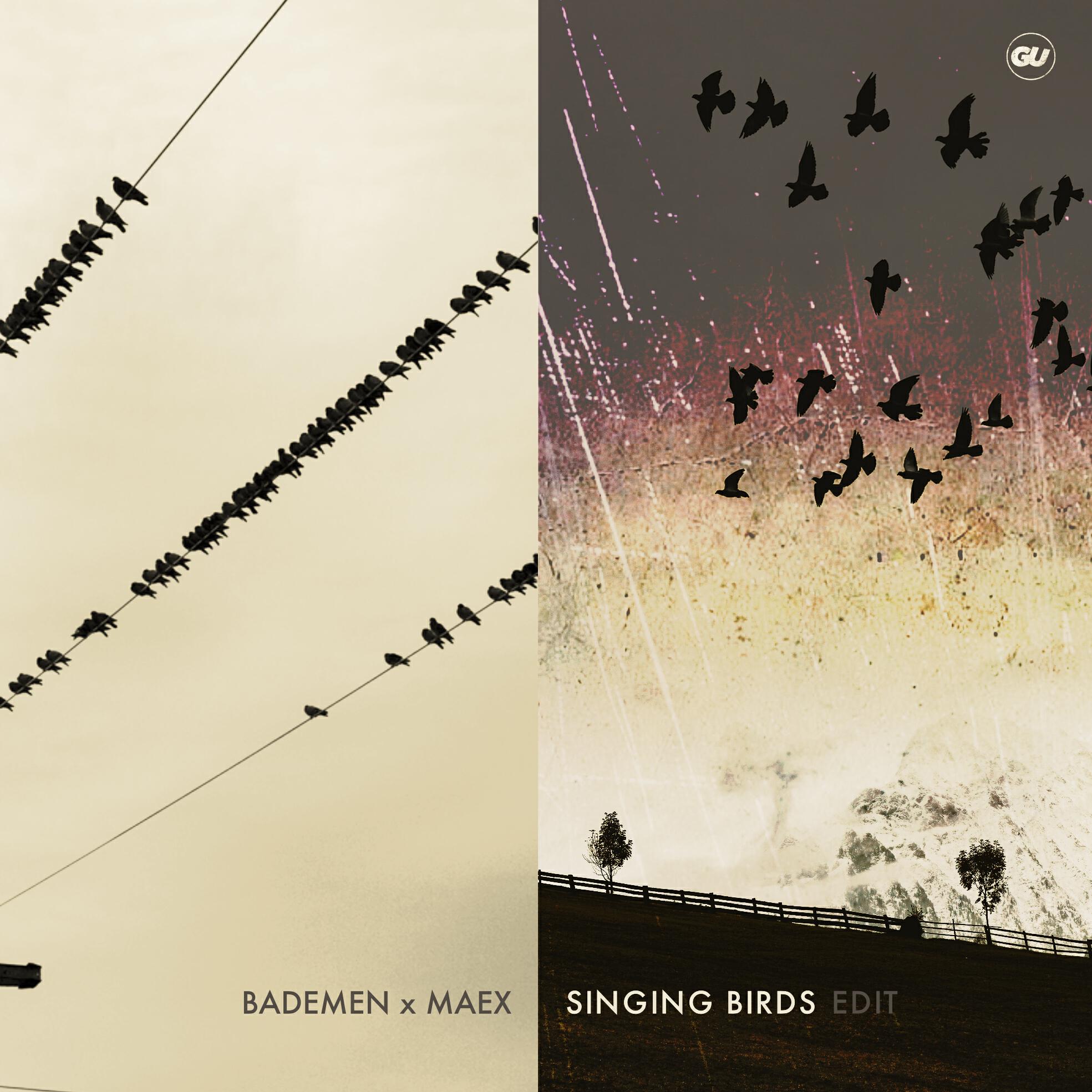 Релиз Singing Birds (Edit)