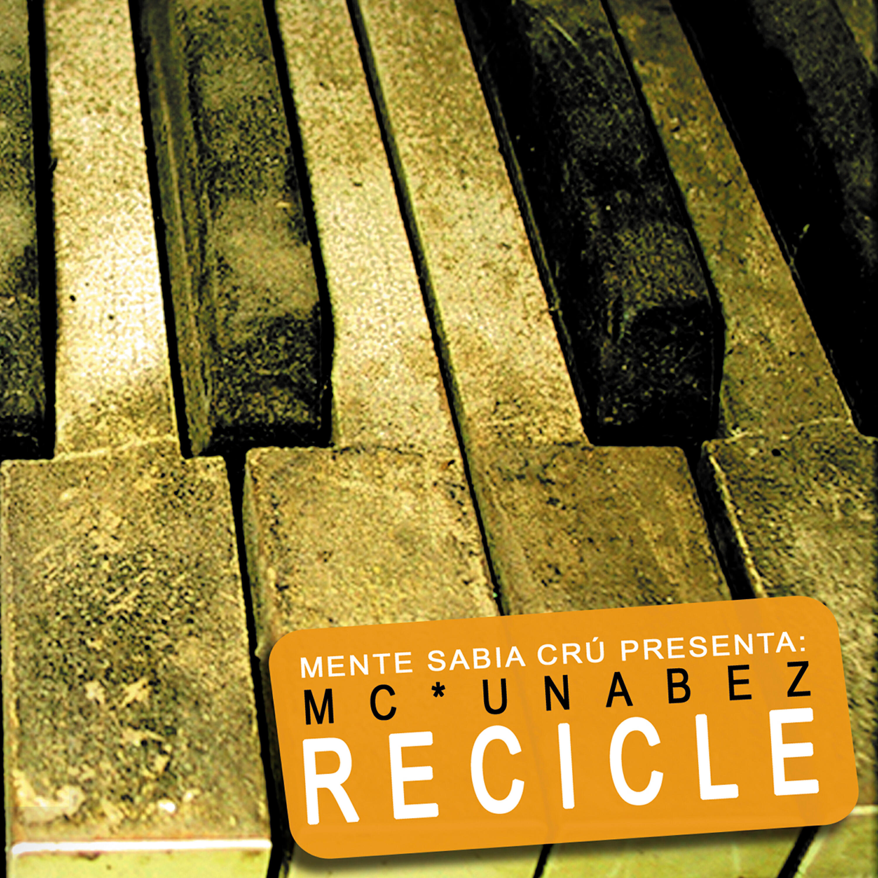 Релиз Recicle