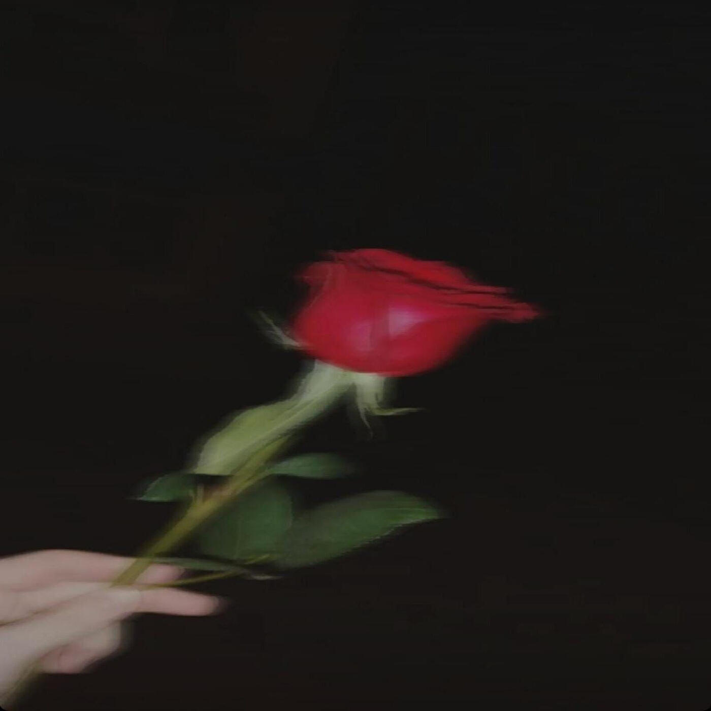 Релиз T.M.L//22