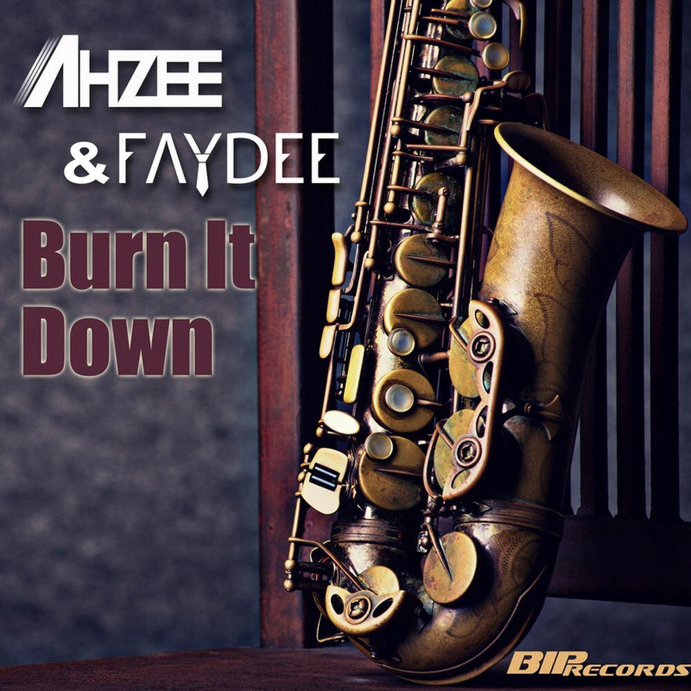 Релиз Burn It Down (Original Extended Mix)