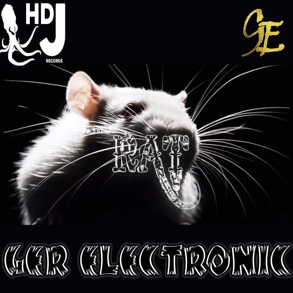 Ger Electronic