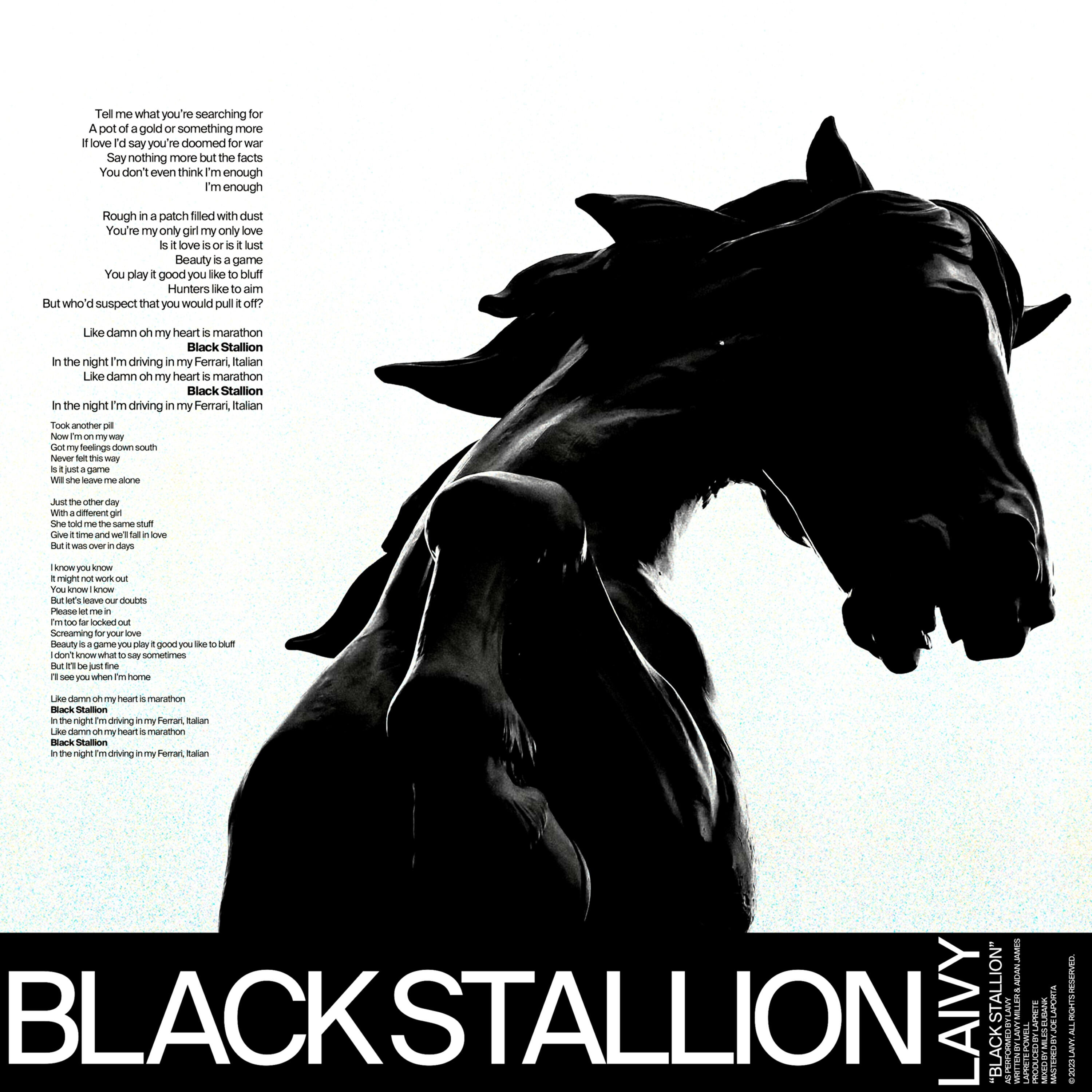 Релиз Black Stallion