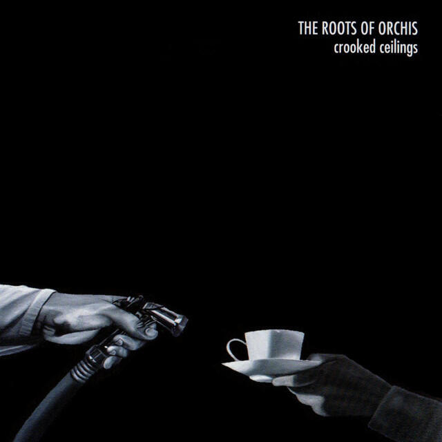 Релиз Crooked Ceilings
