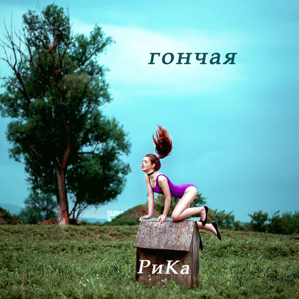 Релиз Гончая