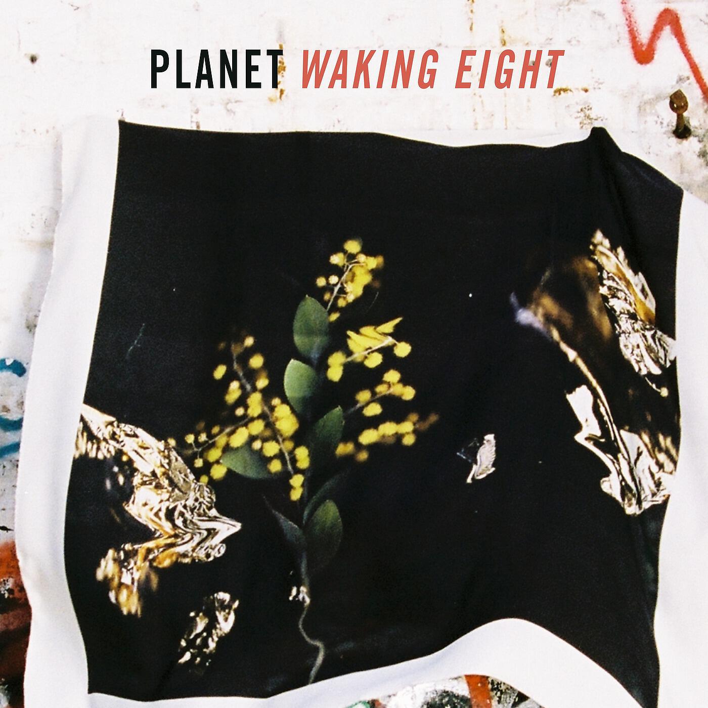 Релиз Waking Eight