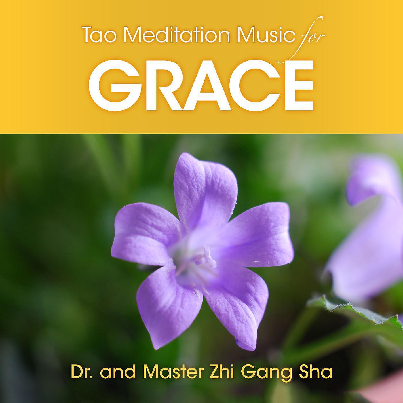 Релиз Tao Meditation Music for Grace