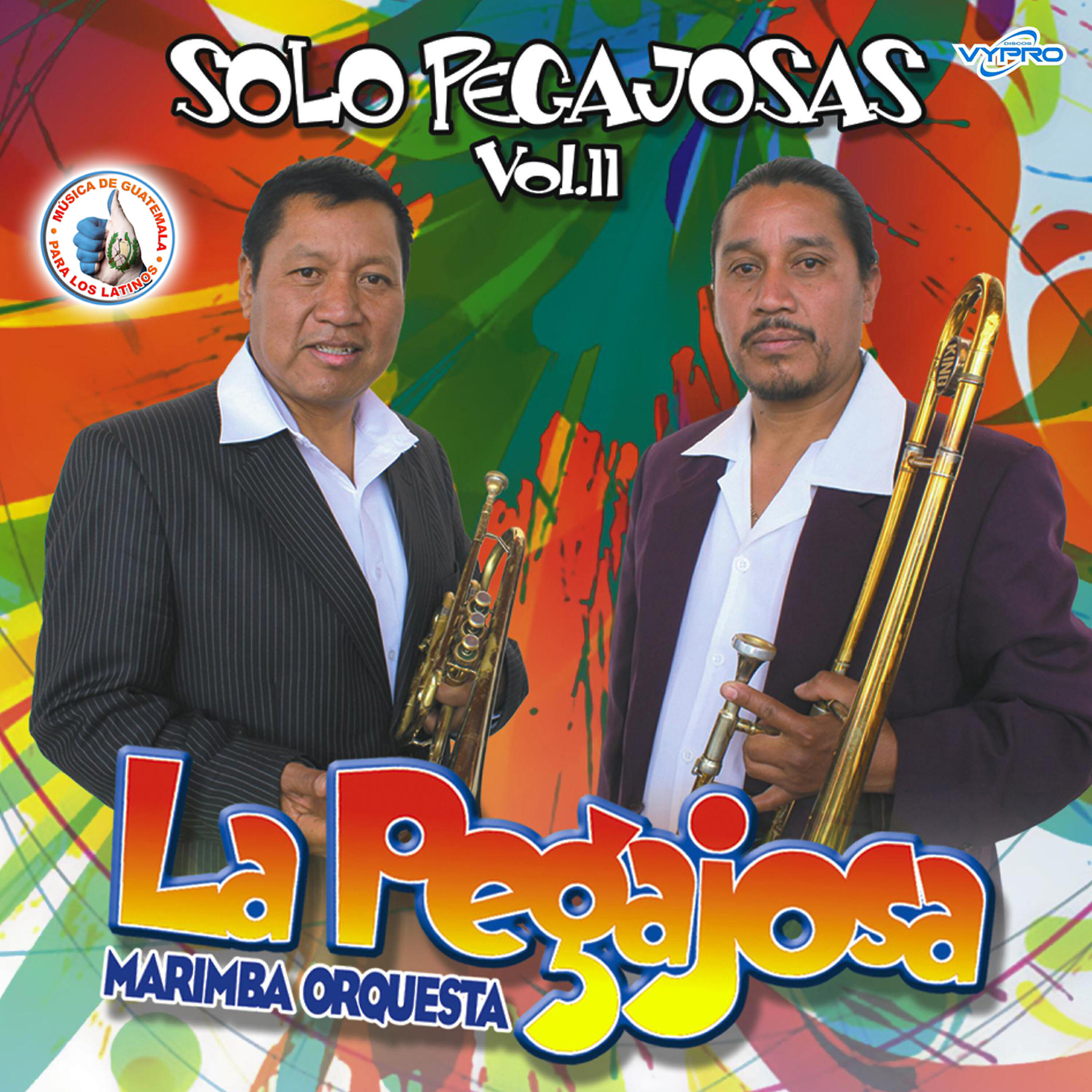 Релиз Solo Pegajosas Vol. 11. Música de Guatemala para los Latinos