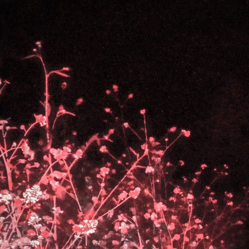 Релиз Witches Burn Slow