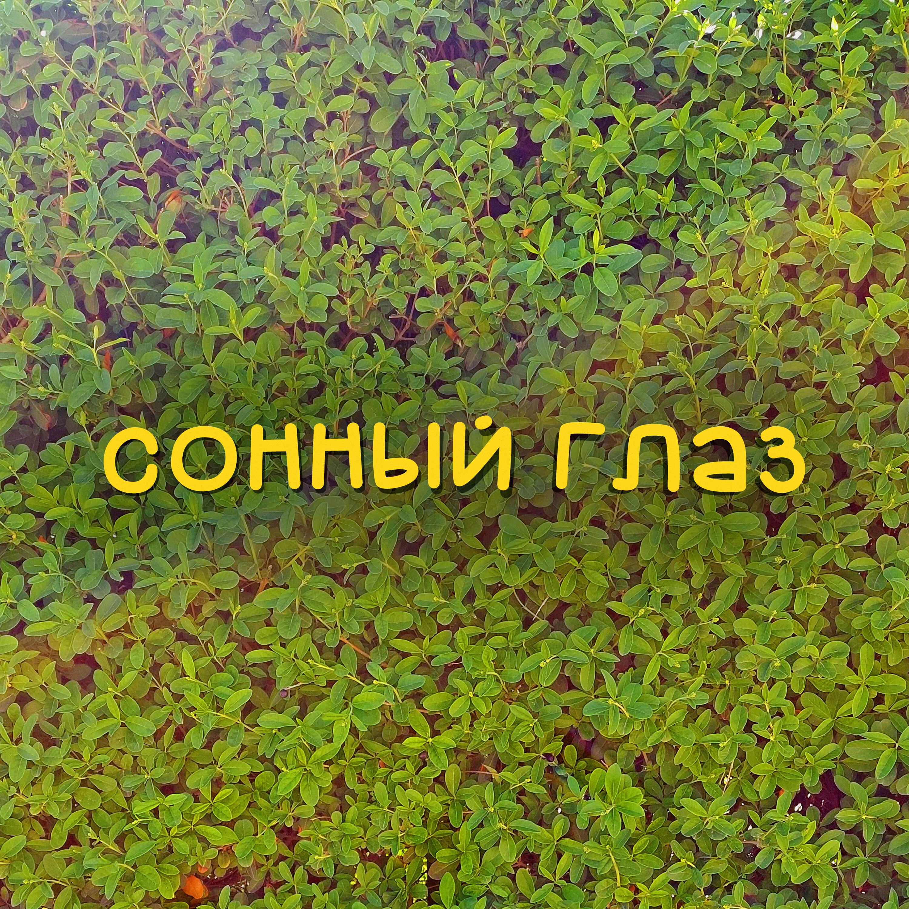 Изображение артиста