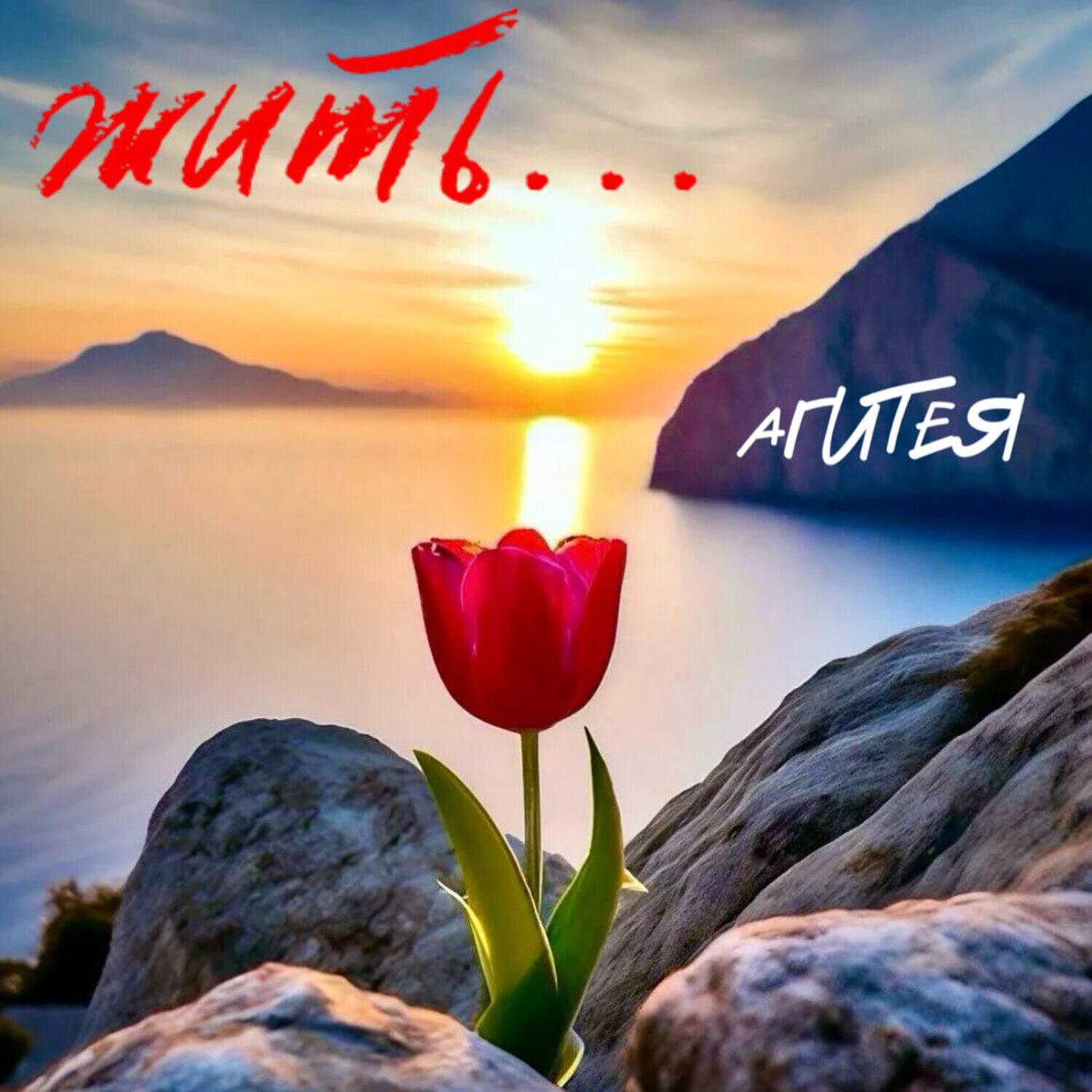 Релиз Жить...