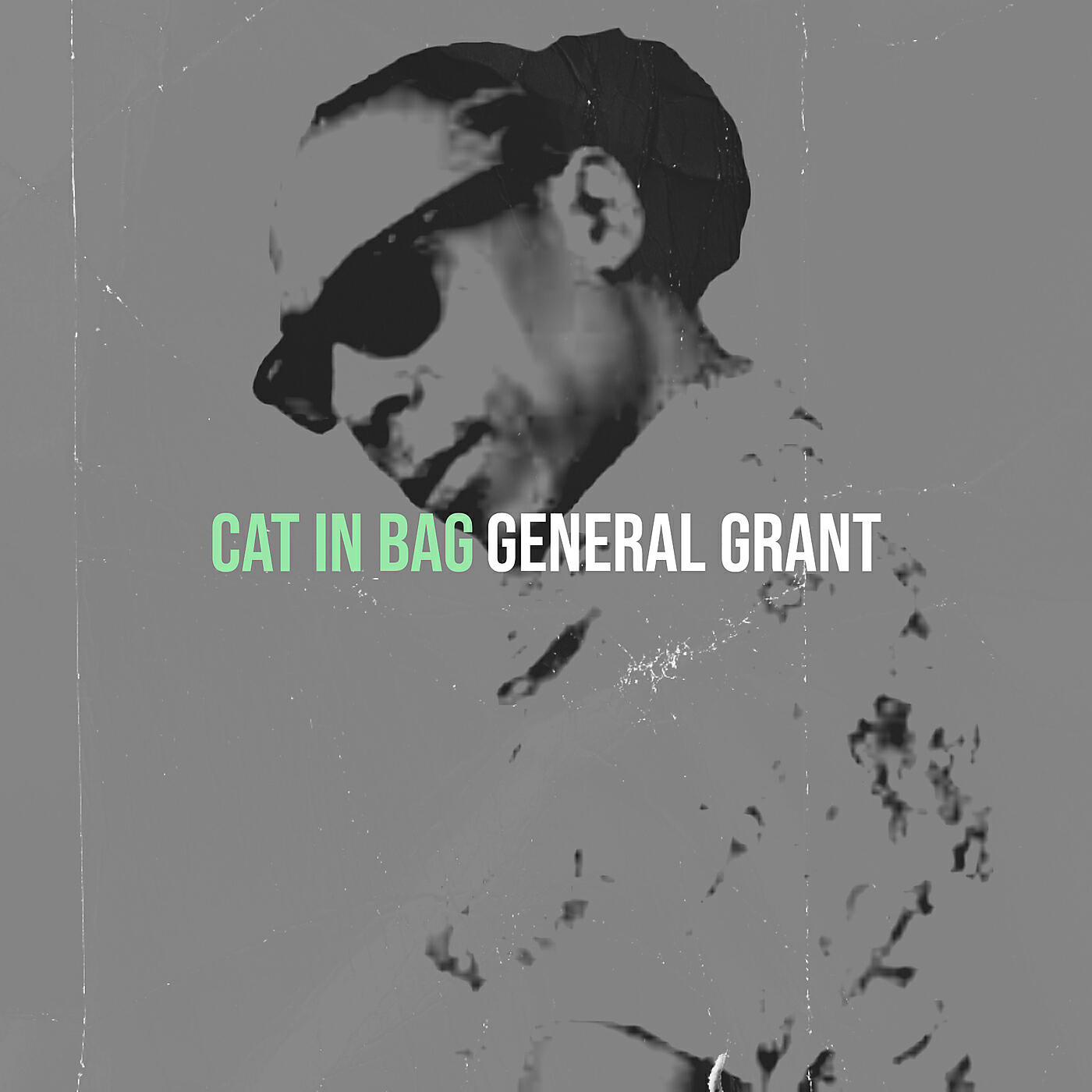 Релиз Cat in Bag
